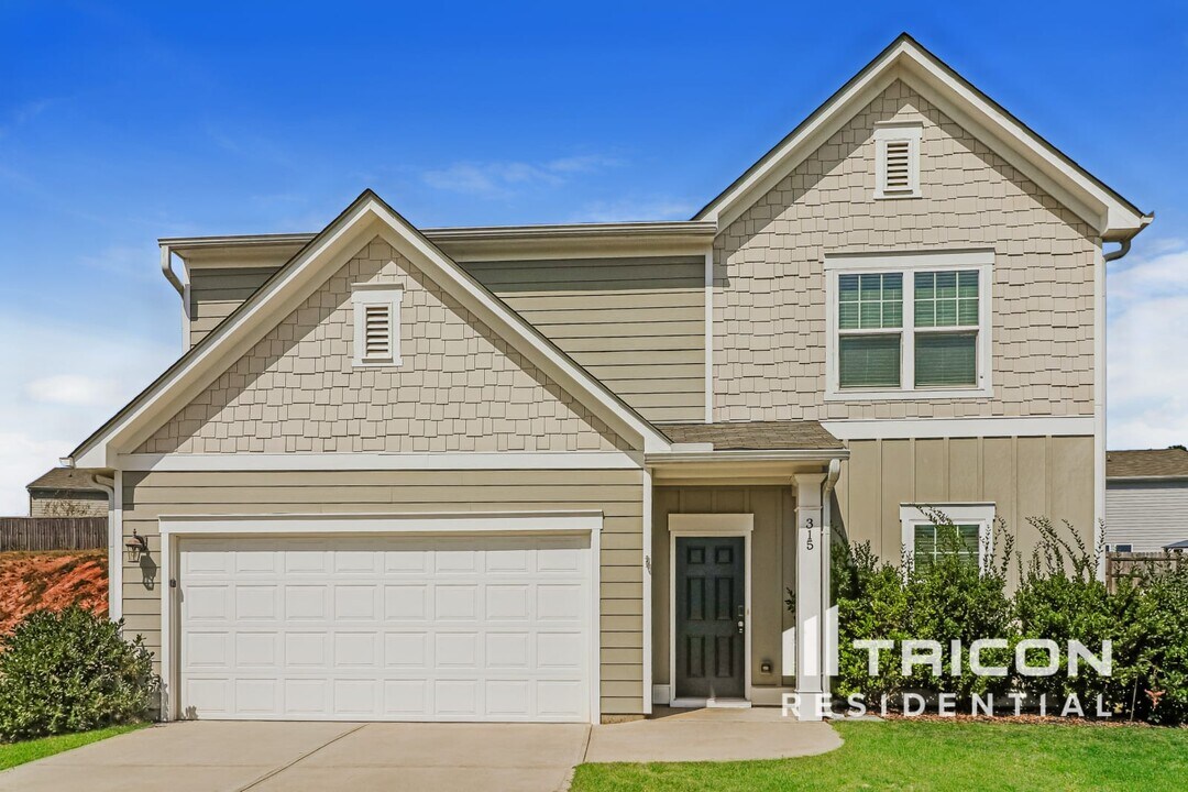 315 Trail Winds Dr in Bethlehem, GA - Building Photo