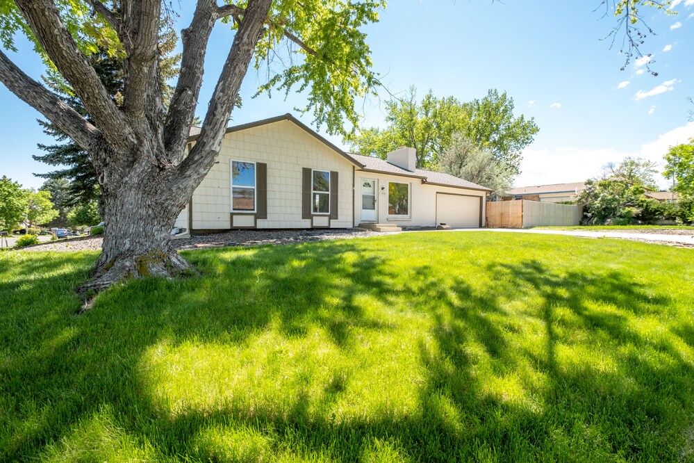 1599 Cedar St in Broomfield, CO - Building Photo