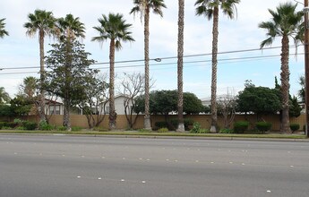 Del Prado Anaheim in Anaheim, CA - Foto de edificio - Building Photo