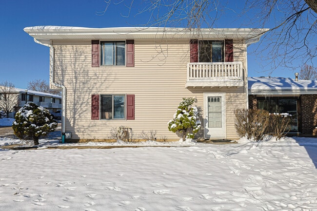 107 Tonset Ct in Schaumburg, IL - Building Photo - Building Photo