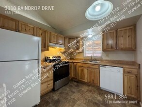 3110 Raindrop Dr in Colorado Springs, CO - Foto de edificio - Building Photo