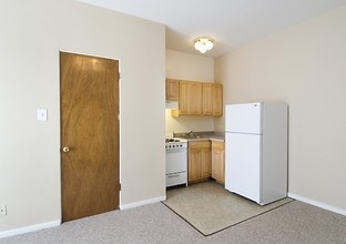 Lake Lane Apartments in Chicago, IL - Foto de edificio - Building Photo