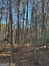 295 Handley Ct in Tyrone, GA - Building Photo - Building Photo