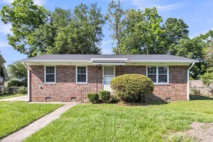 313 Curtiss Ave in Charleston, SC - Building Photo