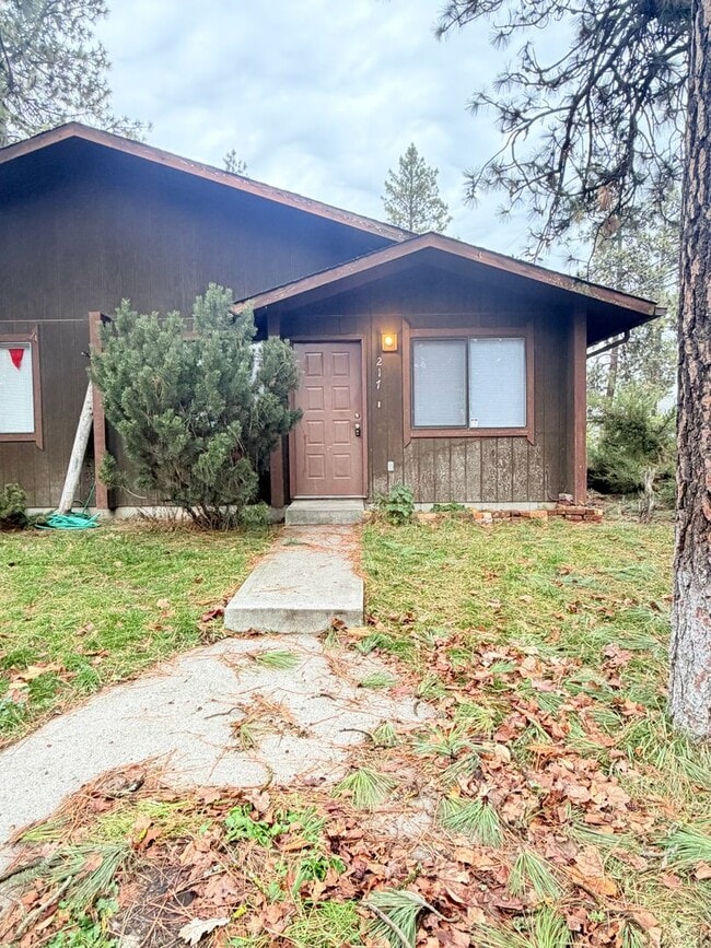 property at 217 Ash St