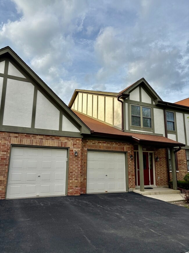 319 Deer Glen Way in Bloomingdale, IL - Building Photo - Building Photo
