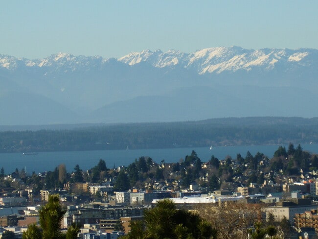 property at 4511 Greenwood Ave N