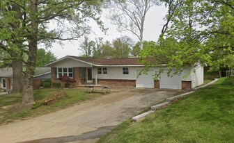 12313 Tempo Dr in St. Louis, MO - Building Photo