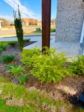 4371 Ravenwood Park W in Horn Lake, MS - Building Photo - Building Photo