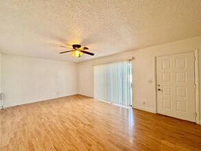2636 10th Ct in Palm Harbor, FL - Building Photo - Building Photo