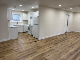 191 Washington St in Saranac, MI - Building Photo