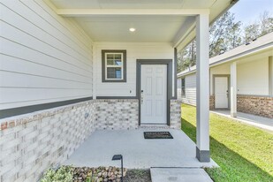 16818 Pandora Wy in Porter, TX - Building Photo - Building Photo