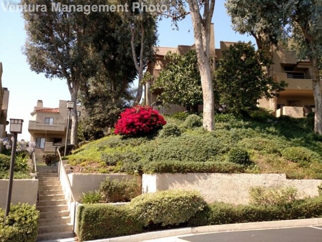 187 McAfee Ct in Thousand Oaks, CA - Building Photo - Building Photo