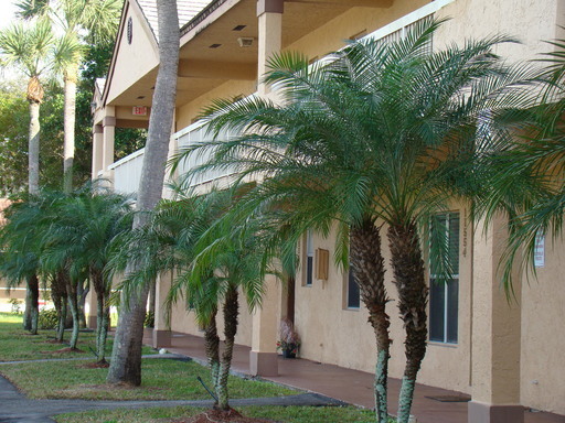 property at 11562 NW 39th St
