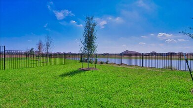 2556 Allegretto Sea Dr in Katy, TX - Building Photo - Building Photo