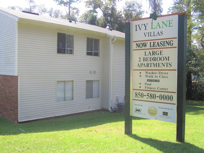 Ivy Lane Villas in Tallahassee, FL - Building Photo - Interior Photo