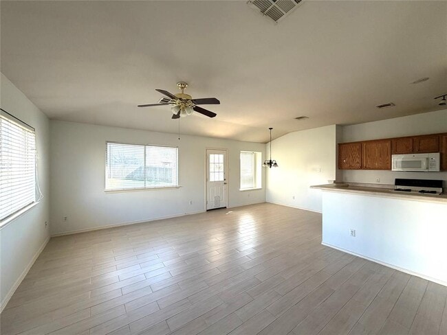 917 Elderberry Tea Cove in Pflugerville, TX - Building Photo - Building Photo