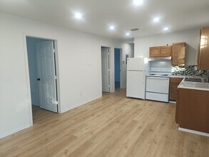 509 S San Felipe Ave in San Antonio, TX - Foto de edificio - Building Photo