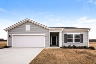 126 Digging Time Ave in Princeton, NC - Building Photo