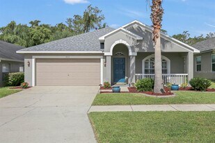 3515 Gray Whetstone St in Brandon, FL - Building Photo