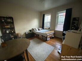 317 Allston St in Boston, MA - Building Photo