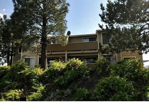 3855 E Leonesio Dr in Reno, NV - Building Photo - Building Photo