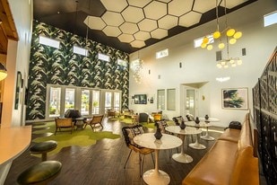 Cabana Beach Gainesville in Gainesville, FL - Building Photo