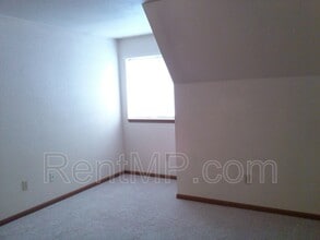 1019 S Mission St in Mt. Pleasant, MI - Building Photo - Building Photo