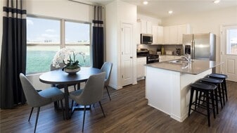 12116 Scarlet Sleeve Wy