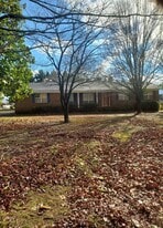 919 Co Rd 61 in Fyffe, AL - Building Photo