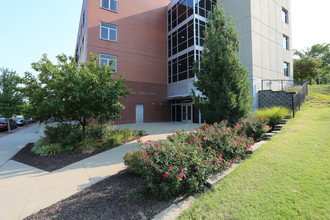 Vine Street Lofts in Kansas City, MO - Building Photo - Building Photo