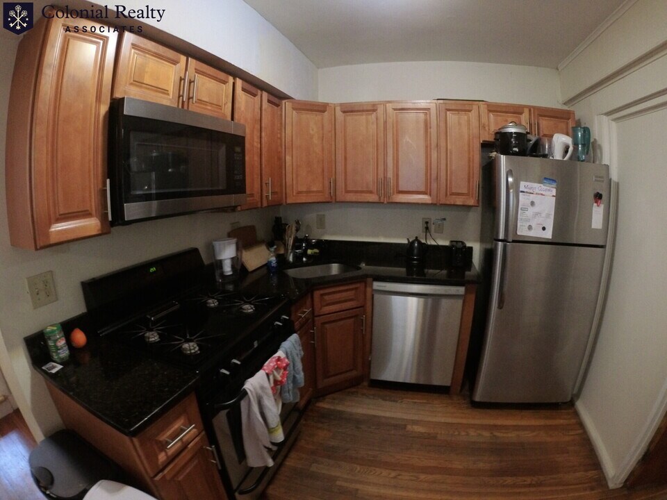 241 Freeman St in Brookline, MA - Building Photo