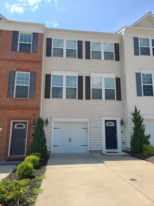 property at 316 Tree Line Dr