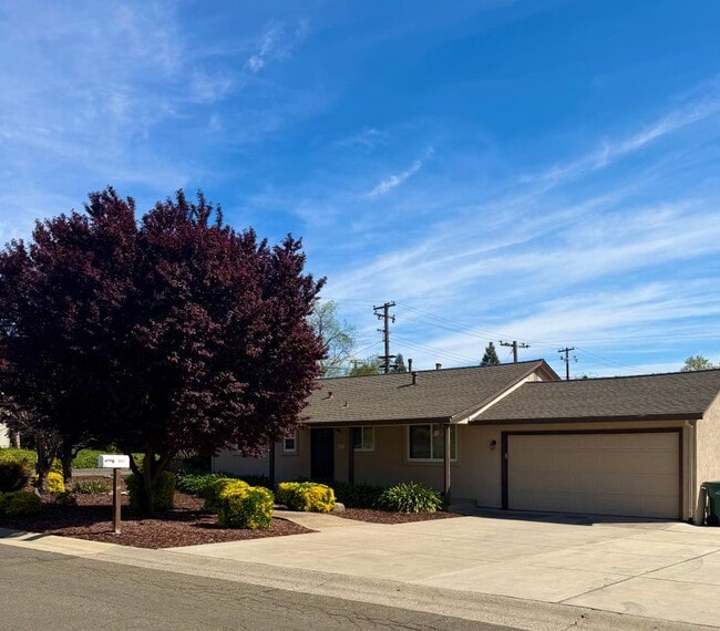 6552 Miles Ln in Carmichael, CA - Building Photo - Building Photo