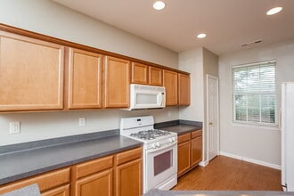 153 Paxton Pl in Newnan, GA - Building Photo - Building Photo