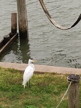 4315 Genoa Rd in New Orleans, LA - Building Photo - Building Photo