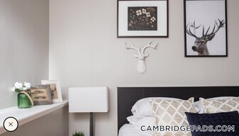 7 Story St in Cambridge, MA - Building Photo