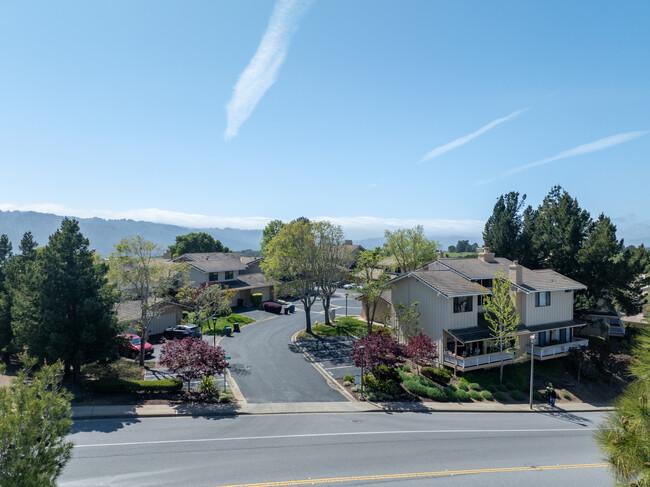 Crestview Park in San Carlos, CA - Foto de edificio - Building Photo