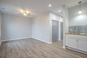 1013 W 18th Pl in Chicago, IL - Building Photo - Building Photo