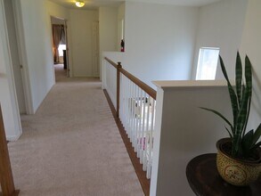 53 Sherin Dr in Newark, DE - Building Photo - Building Photo