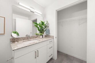 Apella on Newport in Tampa, FL - Building Photo - Building Photo