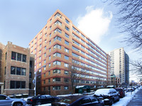 Bittersweet Condominium in Chicago, IL - Foto de edificio - Building Photo