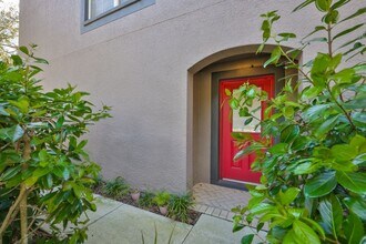 1307 Salem Orchard Ln in Brandon, FL - Building Photo - Building Photo