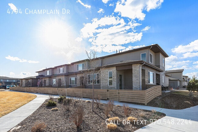 4794 Champlain Dr in Timnath, CO - Building Photo - Building Photo