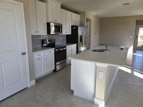 10013 Daybreak Glen in Duette, FL - Building Photo - Building Photo