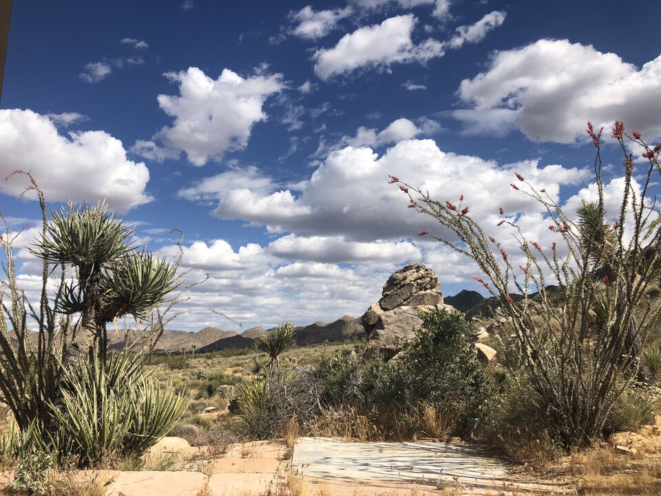 8080 Sunset Rd in Joshua Tree, CA - Building Photo