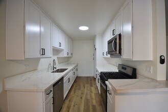 11255 Camarillo St in Los Angeles, CA - Foto de edificio - Building Photo