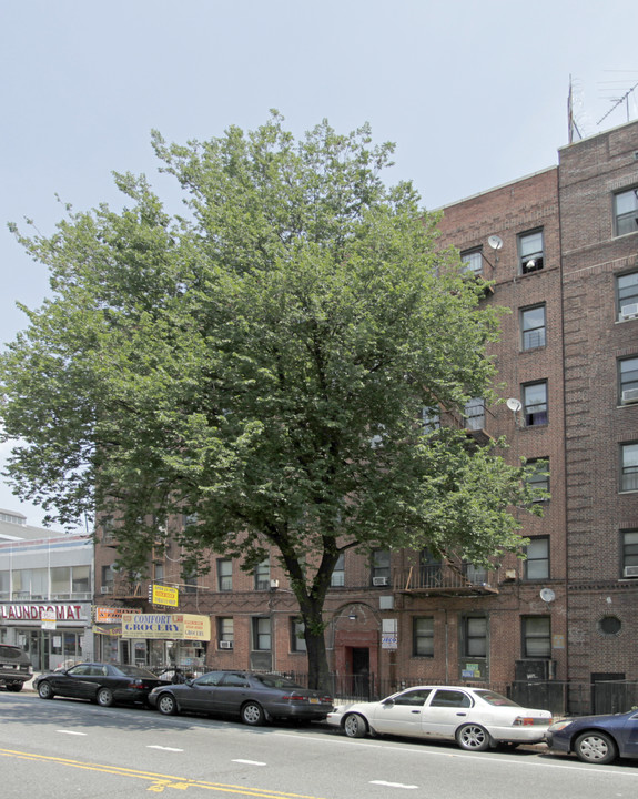 533 Ocean Ave in Brooklyn, NY - Building Photo