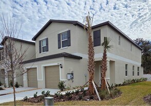 36110 Risa Michele St in Zephyrhills, FL - Building Photo