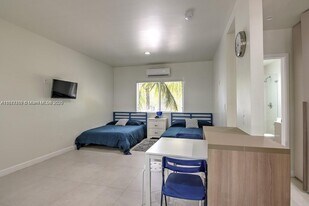 245 NE 33rd St in Miami, FL - Building Photo